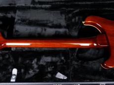 Paul Reed Smith [PRS] Special Semi-Hollow 10Top Orange Tiger 2023_8