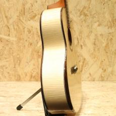AYERS SJ06P-C 3.0 NH-Custom_4