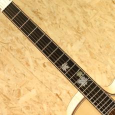 AYERS SJ06P-C 3.0 NH-Custom_6