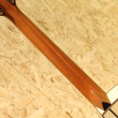 AYERS SJ06P-C 3.0 NH-Custom_7
