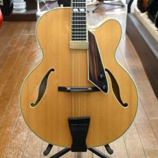 D'Aquisto(ダキスト)の検索結果1～5件【楽器検索｜Jギター】