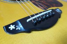 Terry's Terry TJ-100 Custom Special Order Model /　Premium Spruce Top・Premium Brazilian Rosewood・Abalone Head and Body Top and Side and Back Trim・Flame Maple Binding・Head and Fingerboard and Bridge Sakura Inlay【With_15