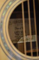 ASTURIAS TREE OF LIFE_3