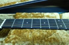 TAMA TG-160 / Flagship Model・Original Grover 102 peg・Solid German Solid  Spruce Top・Select Solid Jacaranda Side and Back・Ebony Fingerboard and Bridge・Genuine Tortoise Pick-guard【With Original Hard Case】197_8