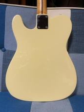 Honky Tonk Guitars Proto Series #10 TL Type Olympic White/Maple_7