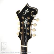 SUMI S-F4(Birds Eyes Maple )【セール開催中!24回無金利対象品】_7