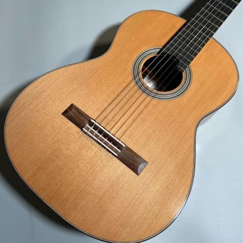 ASTURIAS DOUBLE TOP/C/J/Select【傷有特価】