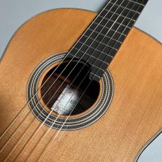 ASTURIAS DOUBLE TOP/C/J/Select【傷有特価】_3