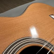 ASTURIAS DOUBLE TOP/C/J/Select【傷有特価】_5