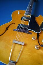 KING SNAKE Curtis / H_5