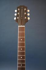 KING SNAKE Curtis / H_7