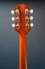 KING SNAKE Curtis / H_8