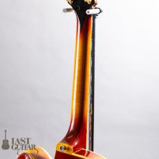 Gibson Byrdland 70's_9