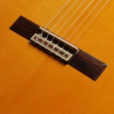 Juan Hernandez [ホアン・エルナンデス] Professor_3