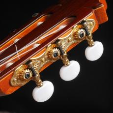 Juan Hernandez [ホアン・エルナンデス] Professor_8