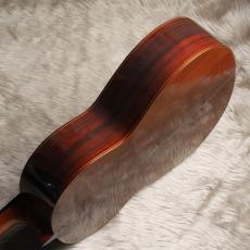 Juan Hernandez [ホアン・エルナンデス] Professor_10