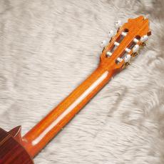 Juan Hernandez [ホアン・エルナンデス] Professor_13