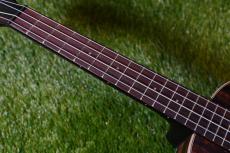 KALA KA-EBY-TE Tenor_7