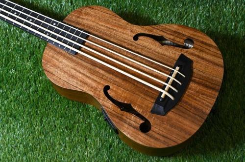 ELK ELKLE BASS
