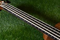 ELK ELKLE BASS_7