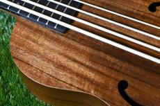 ELK ELKLE BASS_9