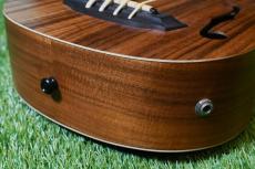 ELK ELKLE BASS_12