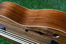 ELK ELKLE BASS_15