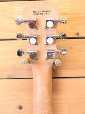 Pignose PGG-200 BS_4