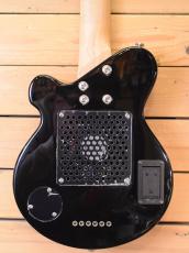 Pignose PGG-200 BS_5