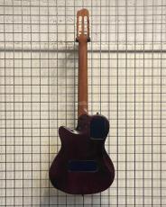 Godin ACS Nylon_2