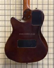 Godin ACS Nylon_4