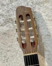 Godin ACS Nylon_5