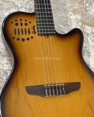 Godin ACS Nylon_6