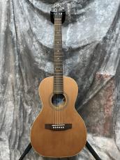 Seagull S Series Grand_2