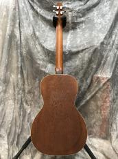 Seagull S Series Grand_3