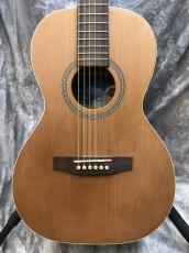 Seagull S Series Grand_5