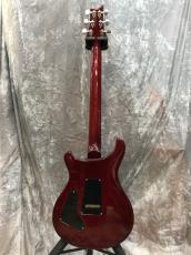 Paul Reed Smith [PRS] CUSTOM 24 10Top_3