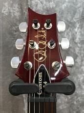 Paul Reed Smith [PRS] CUSTOM 24 10Top_4
