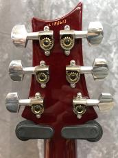 Paul Reed Smith [PRS] CUSTOM 24 10Top_6