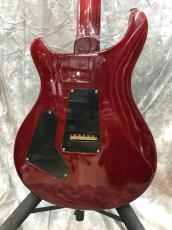 Paul Reed Smith [PRS] CUSTOM 24 10Top_7