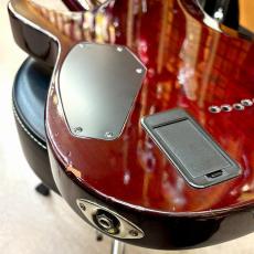 SCHECTER AD-C-1-HR_7