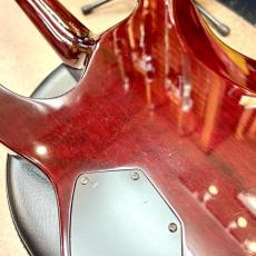 SCHECTER AD-C-1-HR_9