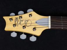 Paul Reed Smith [PRS] SE Silver Sky Ever Green 2022_5