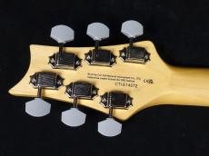 Paul Reed Smith [PRS] SE Silver Sky Ever Green 2022_9