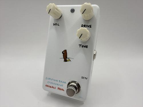 Animals Pedal Surfing Bear Overdrive