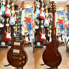 Aria Pro II PE-R80_2