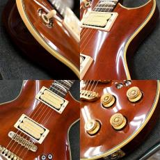 Aria Pro II PE-R80_5