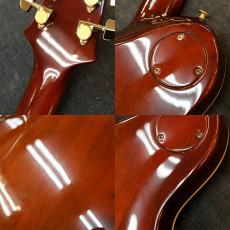 Aria Pro II PE-R80_8