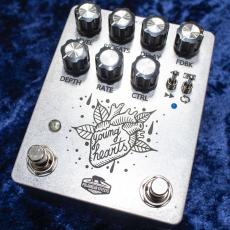 POLARBEAR EFFECTS YOUNG HEARTS