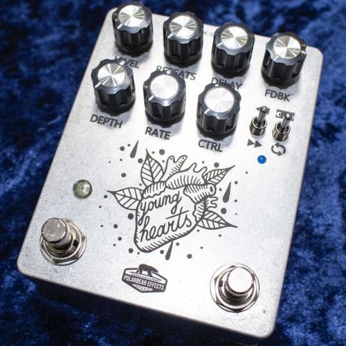 POLARBEAR EFFECTS YOUNG HEARTS